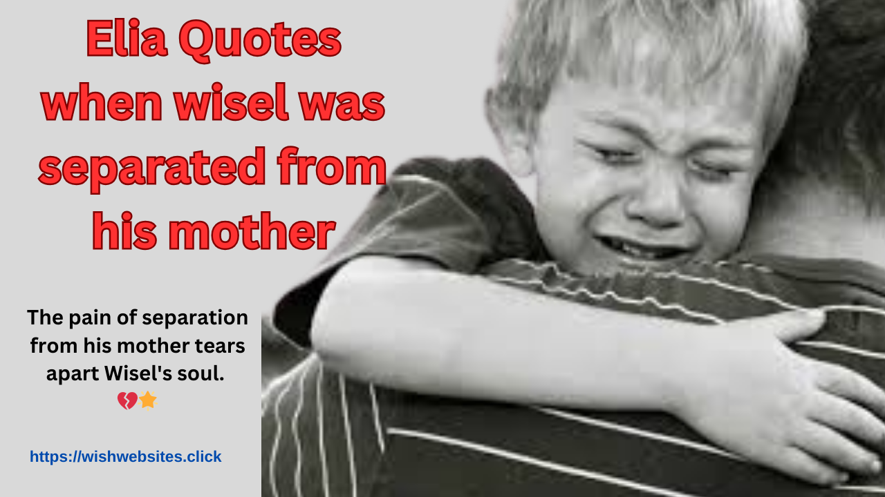 Elia Quotes when wisel was separated from his mother