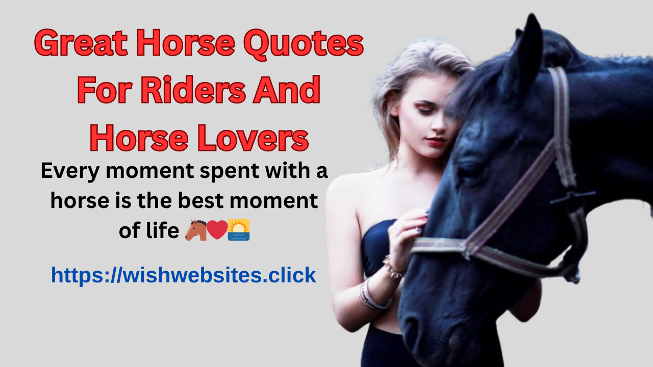 Great Horse Quotes For Riders And Horse Lovers